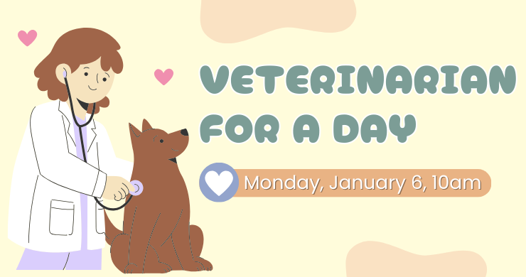 Veterinarian For A Day, Monday, January 6, 10am